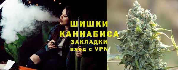 PSILOCYBIN Богородицк
