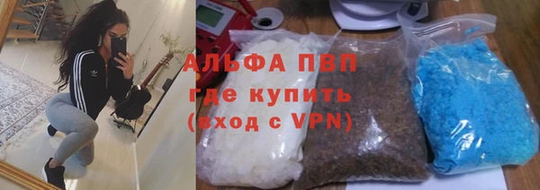 стаф Богданович
