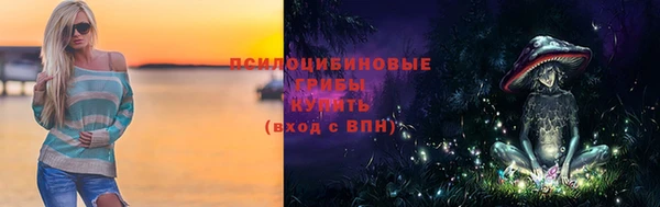 спайс Бородино