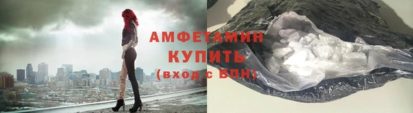 стаф Богданович