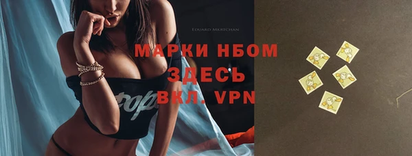 PSILOCYBIN Богородицк