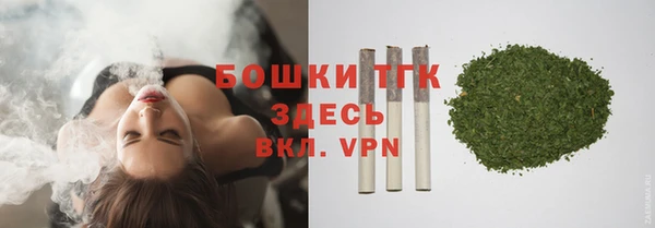 бошки Бронницы