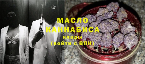 стаф Богданович
