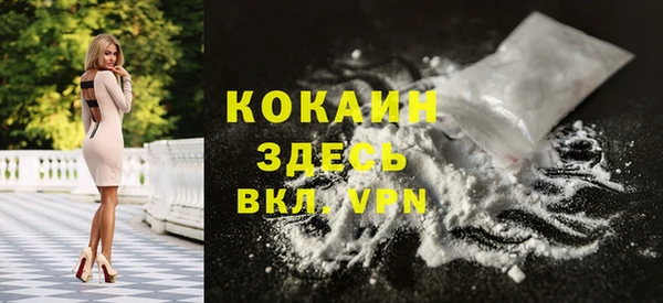 стаф Богданович