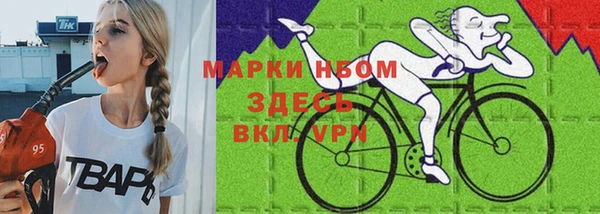 стаф Богданович