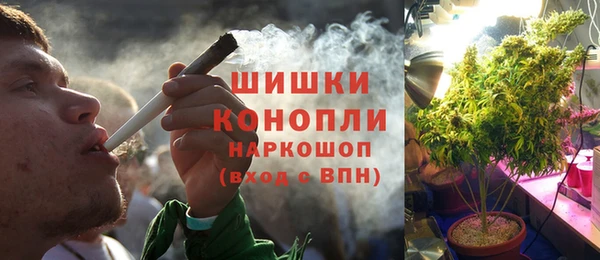 PSILOCYBIN Богородицк