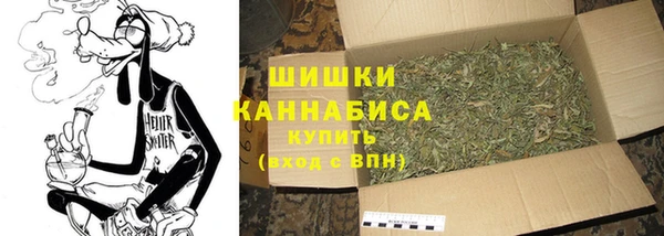 PSILOCYBIN Богородицк