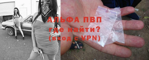 стаф Богданович