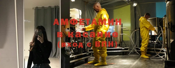 стаф Богданович