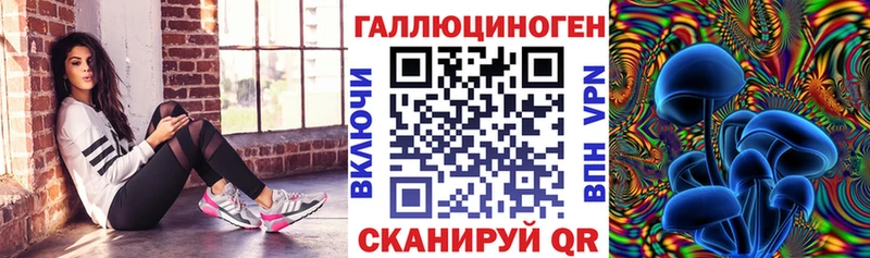 Псилоцибиновые грибы Psilocybine cubensis  продажа наркотиков  Бежецк 