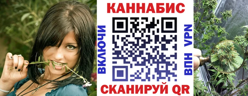 Бошки марихуана AK-47 Бежецк